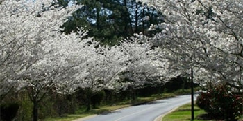 Entrance to our 21 acre campus