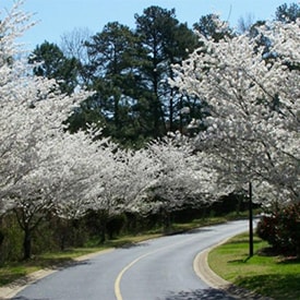 Entrance to our 21 acre campus